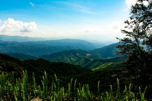 Beautiful mountain view of north Thailand in winter,journey Road trip holiday,Tourism and travel concept, Fresh and relaxed type nature. photo