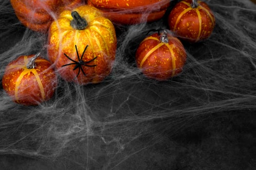Spooky Halloween background.Copy space. Pumpkins with spider web on photo