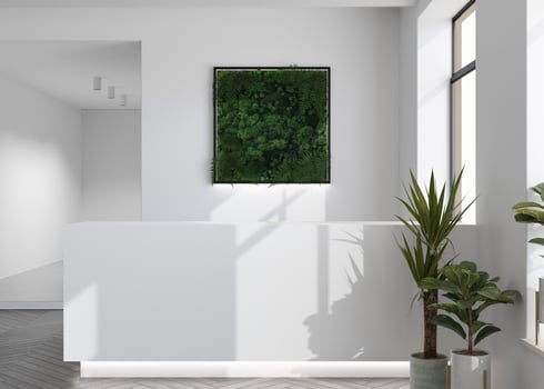 White reception counter in modern room with white walls. Blank registration desk in hotel, spa or office. Reception mock up with copy space for branding, logo. Contemporary style. 3D rendering. photo