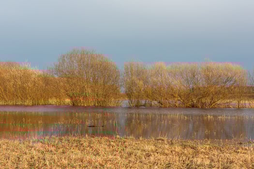 Flooded Meadows in Spring photo