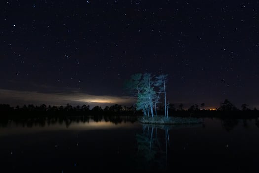Night Landscapes in the Open Air photo