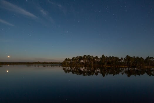 Spring in the swamp lakes photo
