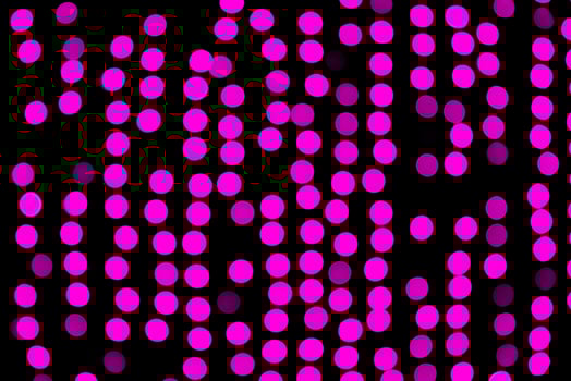 Unfocused abstract purple bokeh on black background. defocused and blurred many round light photo