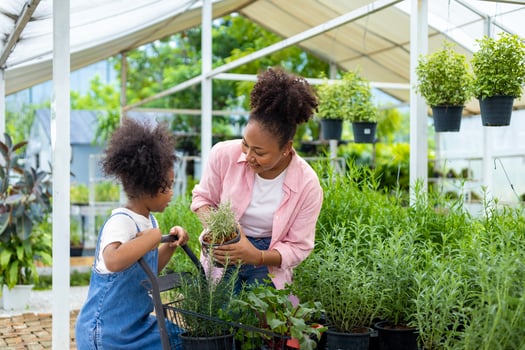 African mother and daughter is choosing vegetable and herb plant from the local garden center nursery with shopping cart full of summer plant for weekend gardening and outdoor photo