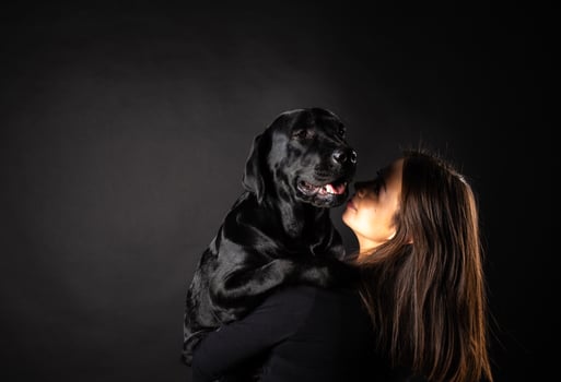 A girl holds a Labrador Retriever dog in her arms. photo