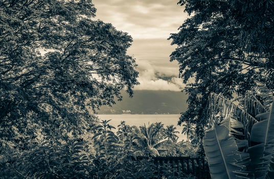 Tropical island Ilha Grande Abraao beach between palm trees Brazil. photo