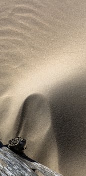 Patterns in The Beach Sand photo