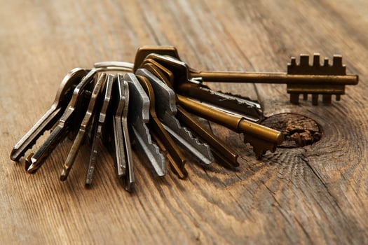 Bunch of different keys photo