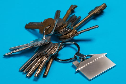 Bunch of different keys photo