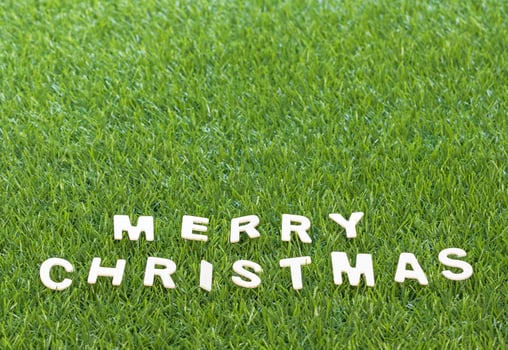 Christmas wood alphabet on green grass photo