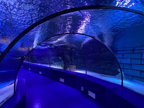 Large beautiful round glass tunnel under water in the aquarium with different fish. Concept tourism, sea world, diving photo