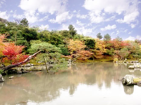 Landscape of autumn maple leaves with lake in the Kyoto public park photo