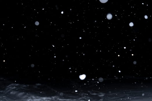 Element for winter design or overlay. Real snow over black background. photo