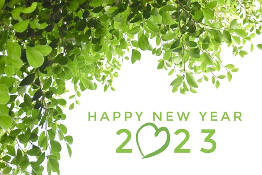 'HAPPY NEW YEAR 2023' in green color with ficus branches and leaves background, concept for greeting invitation card and happy new year 2023, happy life. photo