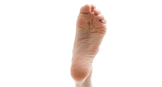 beautifully groomed female legs on a white background photo