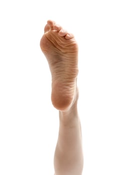 beautifully groomed female legs on a white background photo