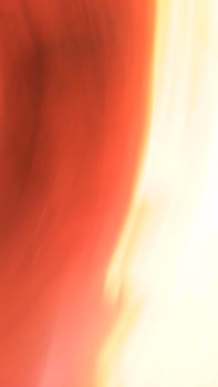 gradient background. Dark brown, light brown, white. Emotion, stillness, intelligence, sobriety, handsome and masculine. photo
