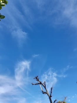 Natural background. Blue sky with puffy clouds background photo