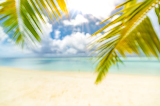 Beautiful blur beach, green palm leaf tree, sunny weather, sun rays with blue sea view and horizon. Tropical beach landscape for summer vacation tourism banner, blur bokeh concept use website template photo