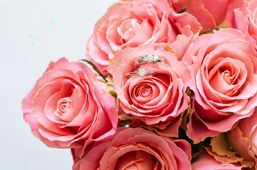 Two wedding rings placed on the bouquet of pink roses for Valentine day on white background. photo