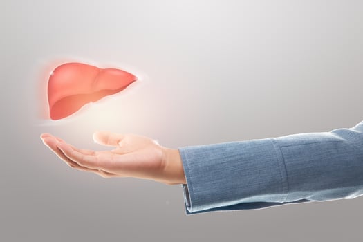 Female doctor holding liver illustration against a gray background. The concept of Liver disease protection and healthcare. photo