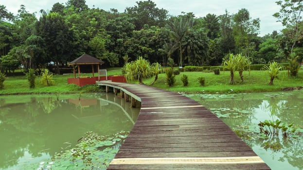 beautiful natural lanscape scenery, lake with wooden bridge, nature wallpaper, landscape background photo