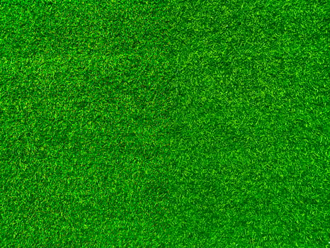 Green grass texture background grass garden concept used for making green background football pitch, Grass Golf, green lawn pattern textured background. photo