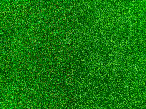 Green grass texture background grass garden concept used for making green background football pitch, Grass Golf, green lawn pattern textured background. photo