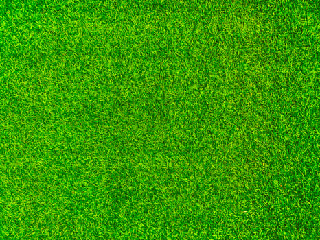 Green grass texture background grass garden concept used for making green background football pitch, Grass Golf, green lawn pattern textured background. photo