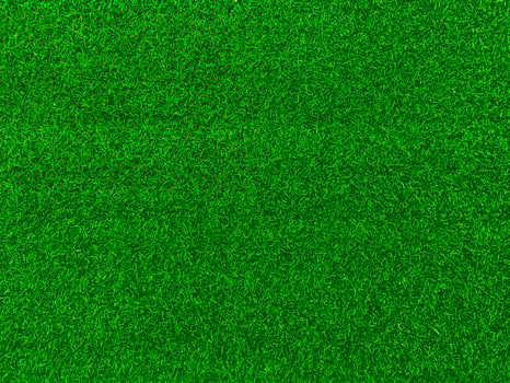 Green grass texture background grass garden  concept used for making green background football pitch, Grass Golf,  green lawn pattern textured background. photo