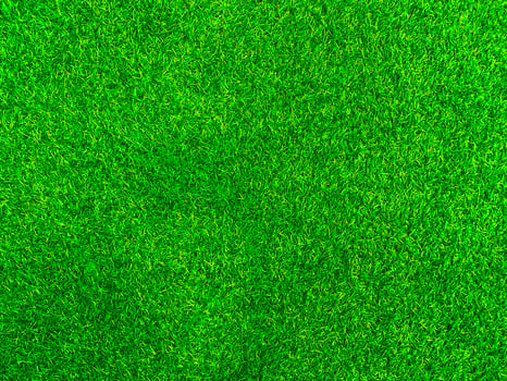 Green grass texture background grass garden  concept used for making green background football pitch, Grass Golf,  green lawn pattern textured background. photo