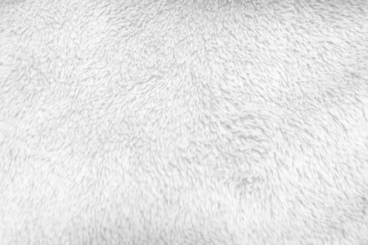 White clean wool  texture background. light natural sheep wool. white seamless cotton. texture of fluffy fur for designers. close-up fragment white wool carpet. photo