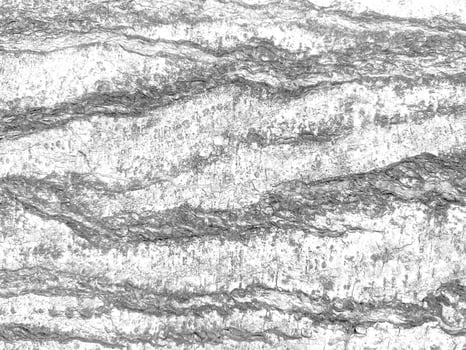 Old wood texture crack, gray-white tone. Use this for wallpaper or background image. There is a blank space for text. photo