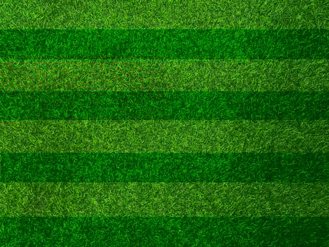 Green grass texture background grass garden  concept used for making green background football pitch, Grass Golf,  green lawn pattern textured background. photo