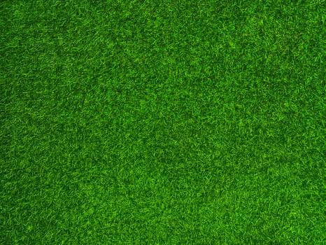Green grass texture background grass garden  concept used for making green background football pitch, Grass Golf,  green lawn pattern textured background. photo