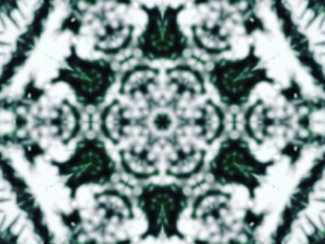 Blurry green leaves kaleidoscope background abstract flower and symmetric pattern for christmas vibes photo