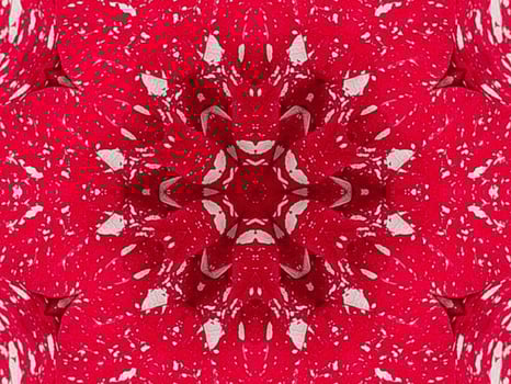 Red floral kaleidoscope background abstract unique and symmetric pattern for christmas vibes photo