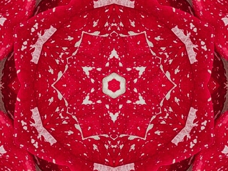 Red floral kaleidoscope background abstract unique and symmetric pattern for christmas vibes photo