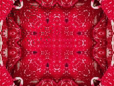 Red floral kaleidoscope background abstract unique and symmetric pattern for christmas vibes photo