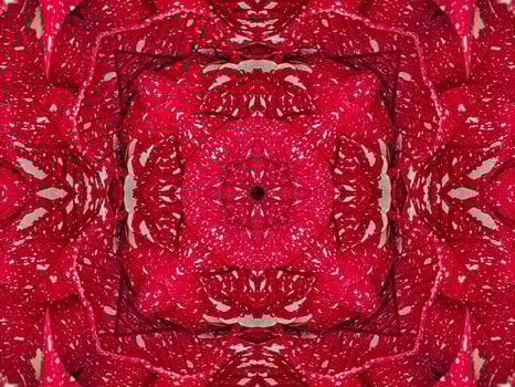 Red floral kaleidoscope background abstract unique and symmetric pattern for christmas vibes photo
