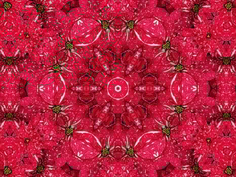 Red floral kaleidoscope background abstract unique and symmetric pattern for christmas vibes photo