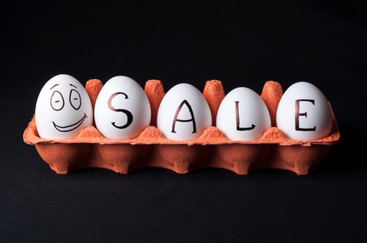 chicken eggs on isolated background photo