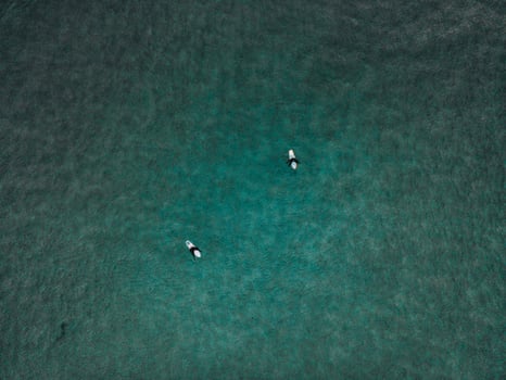 Surfers at Unstad Beach in the Lofoten Islands in Norway photo