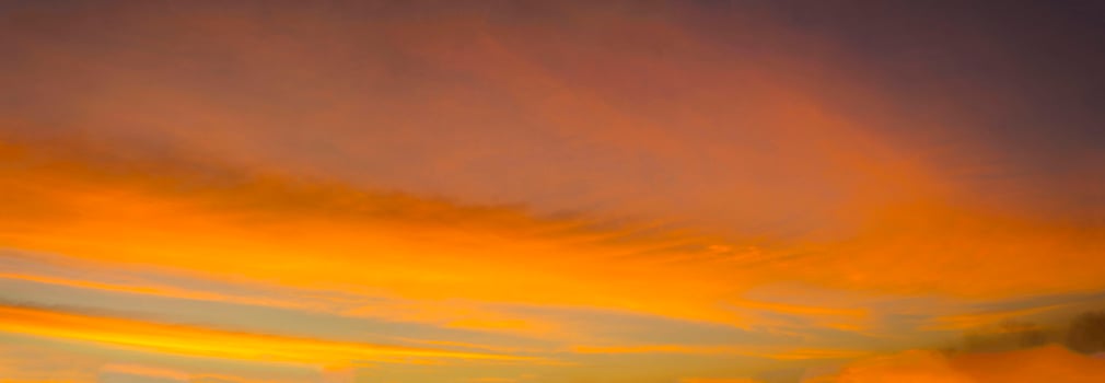 sun is rising-and-set in the morning-evening and the trees are shadowed black - orange sky and clouds. Warm, romantic and gloriously beautiful, it looks warm and travelling. photo