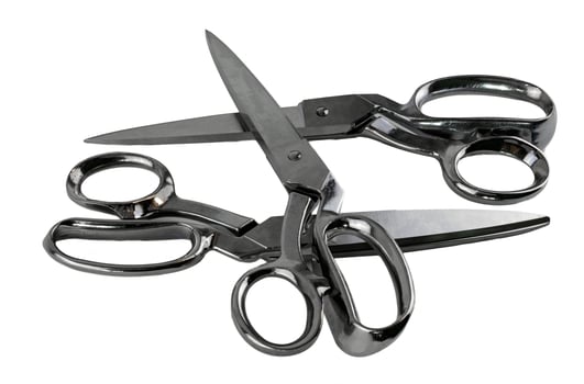 Professional stainless steel industrial cutting shears photo