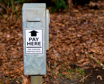 Park pay station drop box with grass and brown leaves photo