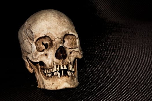 Human skeleton skull head isolated on black photo