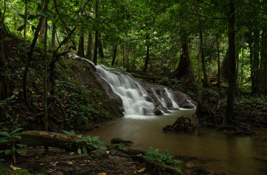 Scene of beautiful waterfall in forest park photo