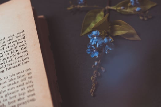 Tiny Purple Flowers In Old Vintage Book photo