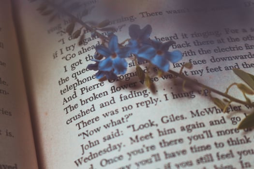 Tiny Purple Flowers In Old Vintage Book photo